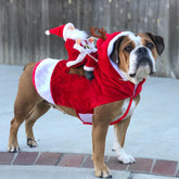 Weihnachtskleidung für Hunde, Weihnachtsmann reitet auf einem Hirsch