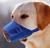 Bissfester und platzsparender Hundemaulschutz, wasserdicht, Bellstopper