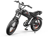C93 - 20 Zoll 20A Elektrofahrrad